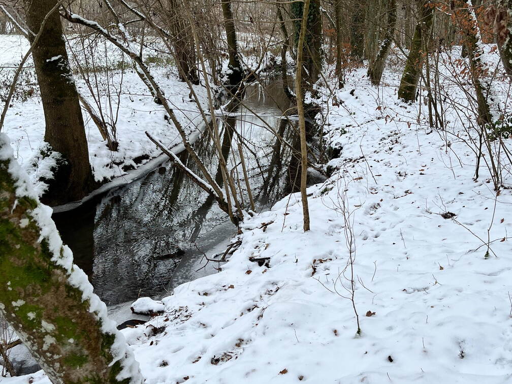 22-12-19 11-25-30 3608